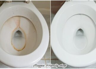 How Should I Clean The Tartar In The Toilet?